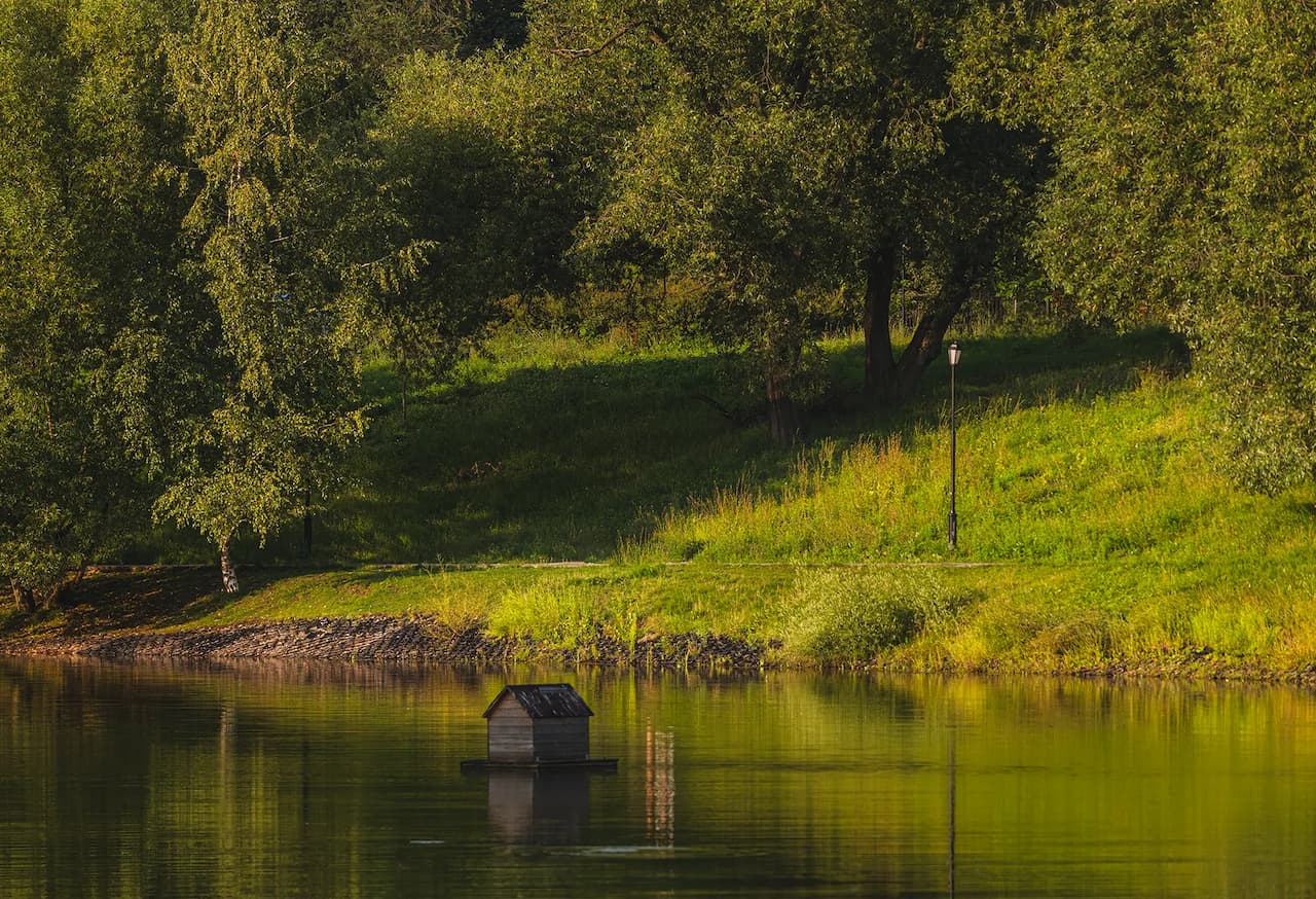 Черкизовский парк