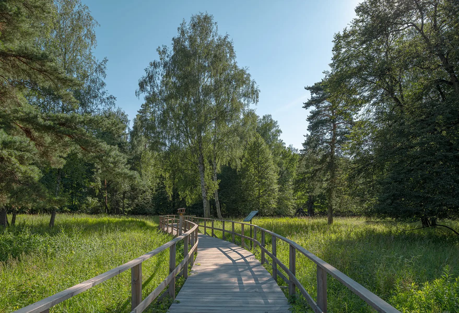 Национальный парк «Лосиный остров»