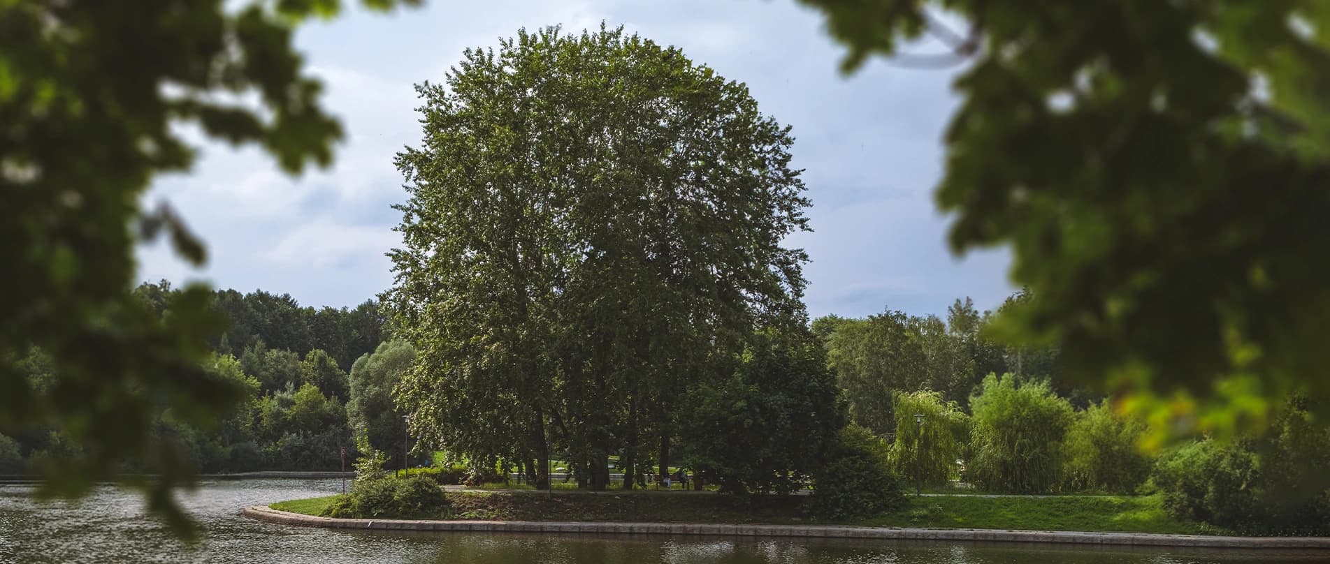 Преимущества